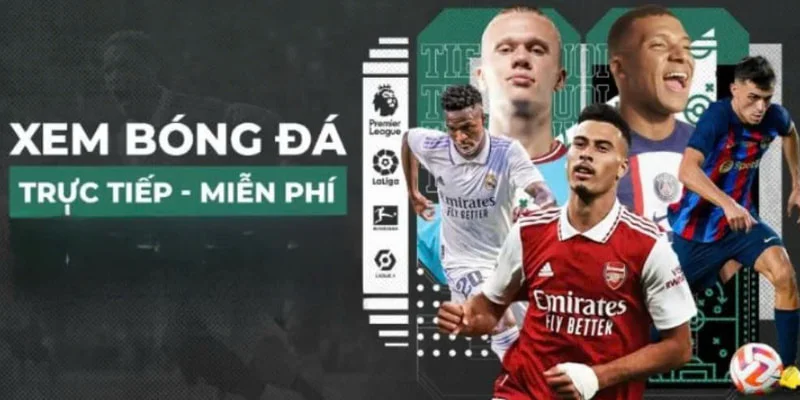 4 phương thức liên lạc với trang web cá heo 