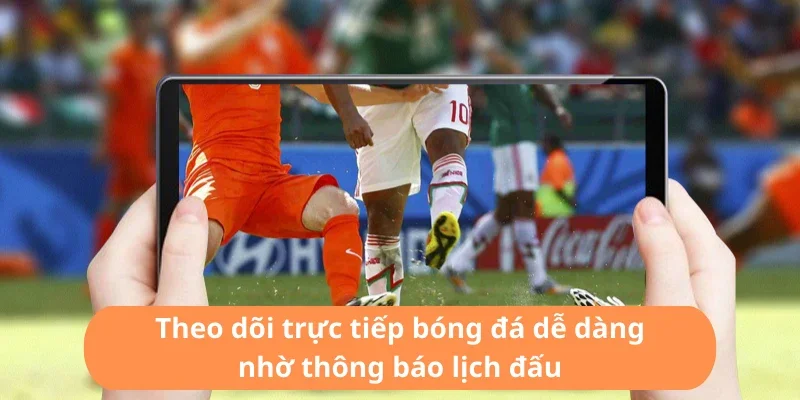 Liên hệ Caheo TV dễ dàng – Hỗ trợ nhanh qua website, email và mạng xã hội.
