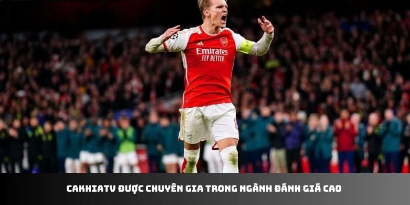 Cakhiatv được chuyên gia trong ngành đánh giá cao 