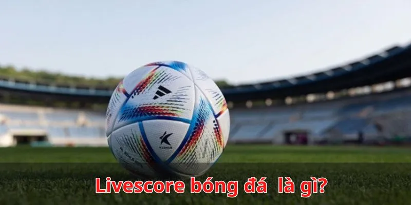 Tổng quan Live score tỷ số trực tuyến bóng đá tại Cá heo
