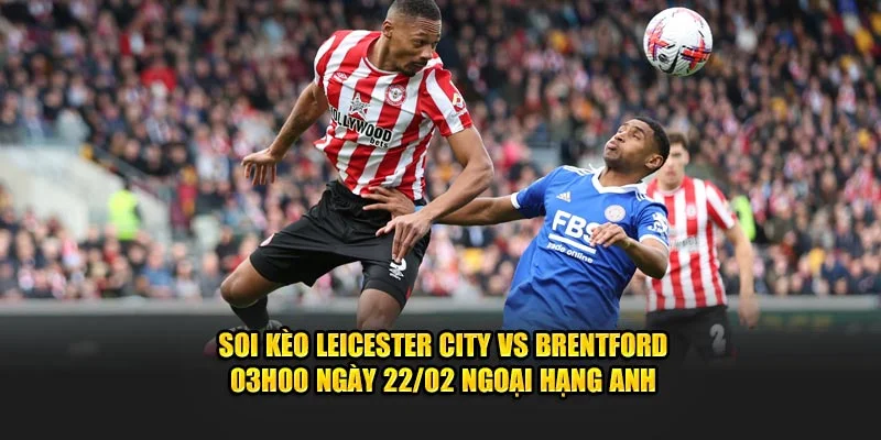 Soi kèo leicester city vs brentford tại caheo tv