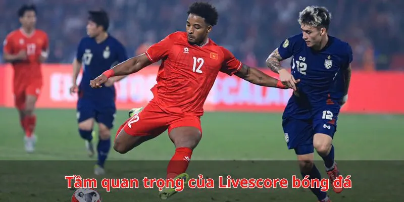 Tầm quan trọng của Livescore Caheo TV bóng đá liên kết tại nền tảng