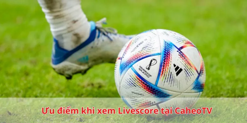 Ưu điểm khi xem Livescore bóng đá tại Cá heo TV