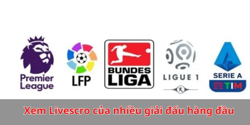 Xem Live score của những giải đấu hàng đầu thế giới