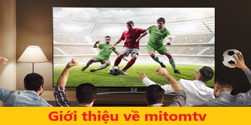 Giới thiệu về trang xem trực tiếp thể thao mitomtv