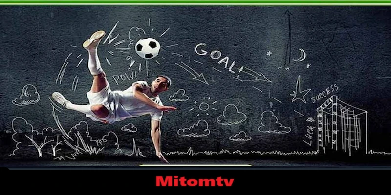 so sánh mitomtv vs caheotv