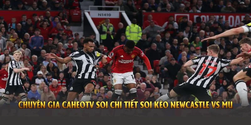 Chuyên gia CaheoTV soi chi tiết soi kèo Newcastle vs MU trong cuộc đối đầu sắp tới